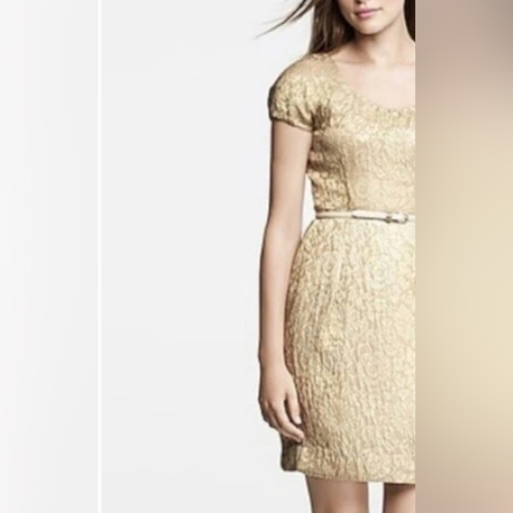 J. Crew Gold + Beige Floral Brocade Mini Dress